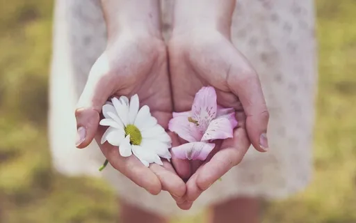 From Gratitude To Balance