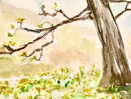 From Grief To Hope