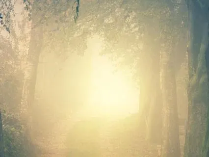 From Heaviness To Awareness Meditation