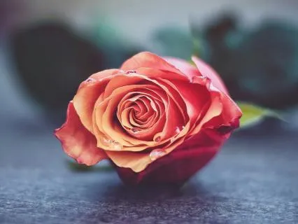 From Human 'Doing' To Human 'Being'