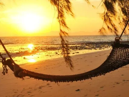 From Hurt To Healing: Emotional Renewal