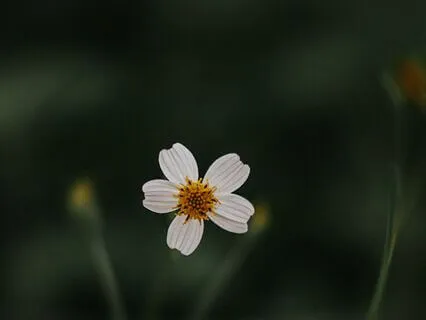 Shifting From Doing To Being