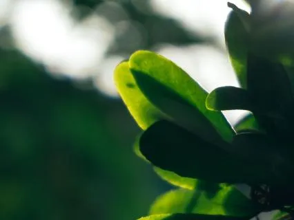 From Hustling To Healing