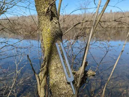 From Imbalance To Harmony | Angel Number 222 Hz Tuning Fork