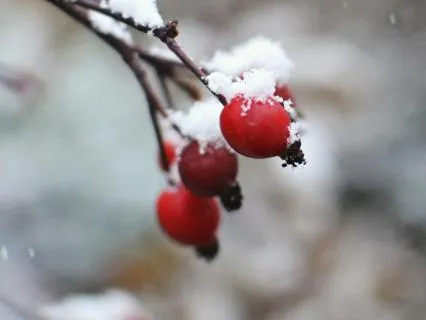 From Insecurity To Kindness - Jan 06