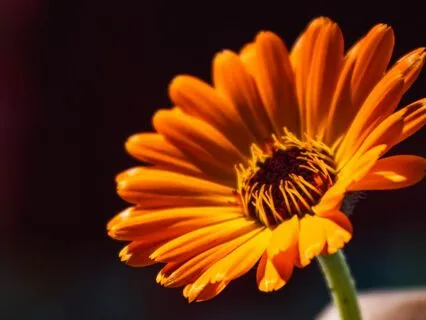 Learn To Be Kind To Yourself