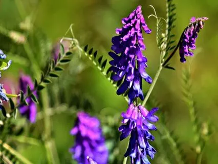 From Loneliness To Connection