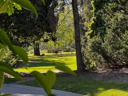 From Me, To You: Healing Frequencies For Soothing The Heart