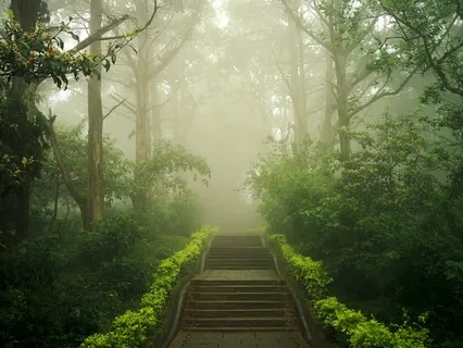 From Mist To Mystic