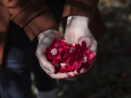 From My Sacred Heart