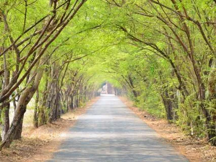 From Negative Thoughts To Self Esteem