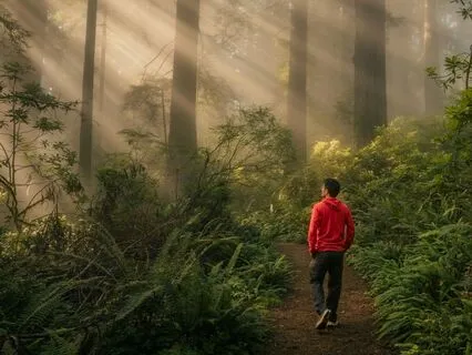 From Outer Searching To Inner Recognition