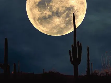 From Overwhelm To Ease | Subliminal Affirmations