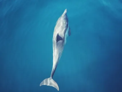 Reduce Overwhelm In 20 Minutes