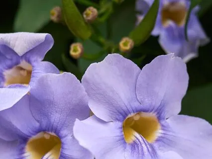 From Pain To Peace: Navigating Grief With Love