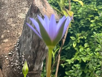 From Panic To Present