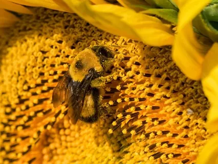 From Pessimism to Optimism 