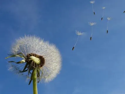 From Reacting To Responding To Pain