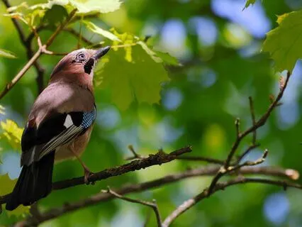 From Reactive To Responsive: STOP Practice For Changemakers