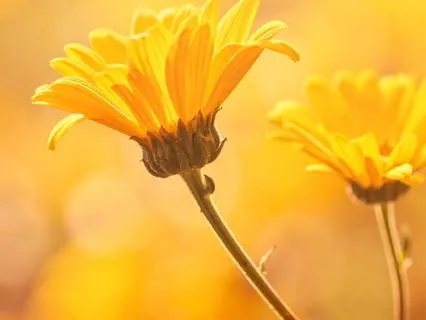 From Relationship Triggers To Conscious Connection