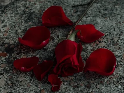 From Resentment To Compassion