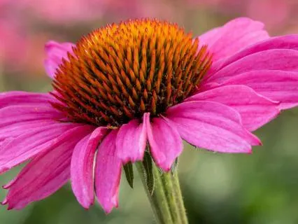 From Resistance To Peace - Present Moment Guidance