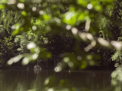 From Rising To Resting: Morning + Nighttime Visualization