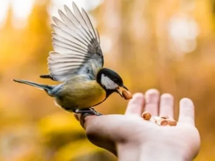 From Sadness To Gladness