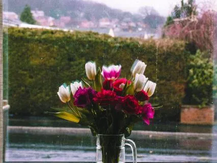 From Safety, We See Growth