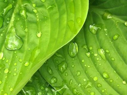 Beginners Self Compassion Practice  (10 Mins)