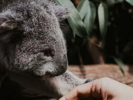 From Self-Criticism To Self-Kindness: Gentle Affirmations