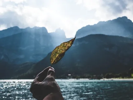 From Self-Sabotage To Full Self-Expression: Lesson 3 (Overcoming Overwhelm)