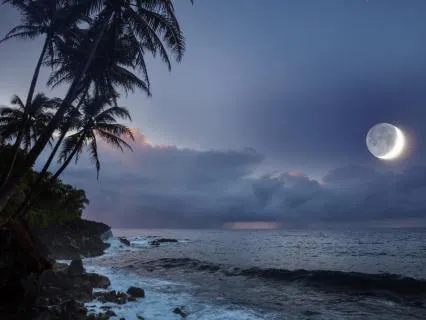From Spiraling To Still: A Yoga Nidra Bedtime Reset