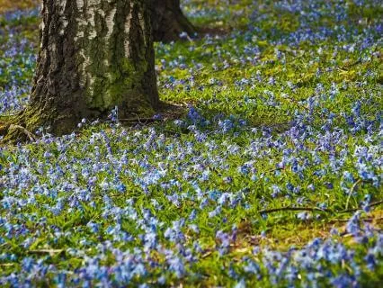 From Spring Into Summer