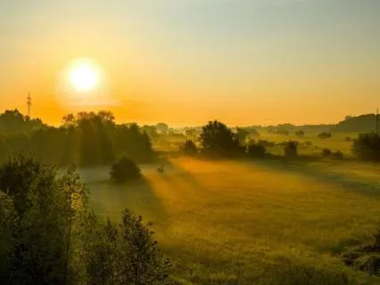 From Stress To Vitality: Reset Your Energy & Feel Alive