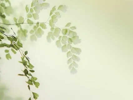 From Stressed To Serene : Time-Friendly Affirmations