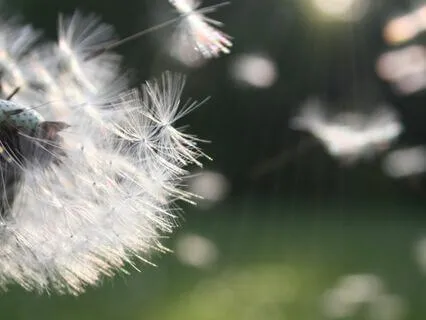 From Struggle To Joy