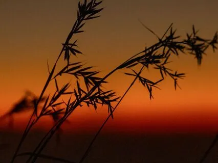 From Stuck To Clear: A Reflective Pause For The Soul