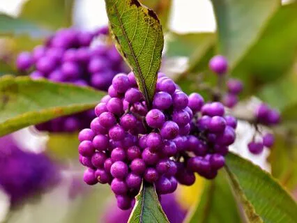 From Stuckness To Expansion