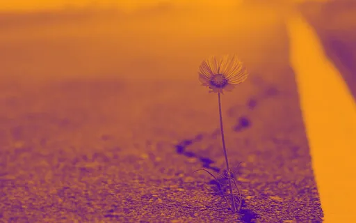 From Suffering & Struggle To Growth & Expansion Talk