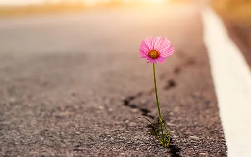 From Suffering & Struggle To Growth & Expansion