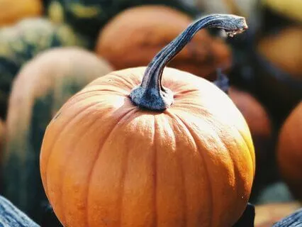 From Summer To Autumn - Calming Chimes Sound Healing