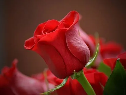 From Surface To Soul: A Journey With Your Tender Part