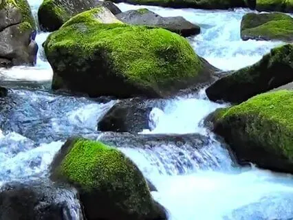 From Survival Mode To Thriving