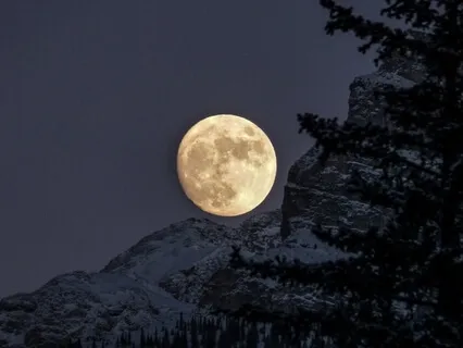 From the Bottom Of My Heart (Piano Music With Nature Sounds)