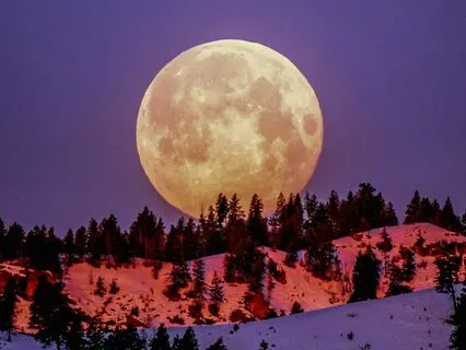 From The Moon's Wisdom