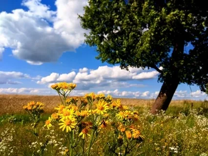 Ready For Transformation: A Meditation For Abundance