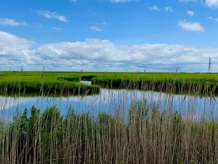 From Witnessing To Flow