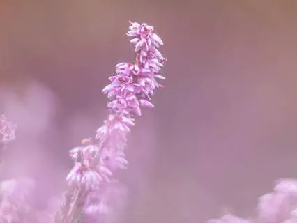 From Work To Home: A Meditation For Letting Work Stress Go