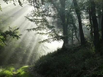 From Thought To Heart, Crystal Singing Bowl Healing (432hz)